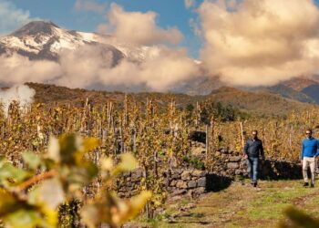 Red Circle Investments entra nel capitale della cantina Benanti