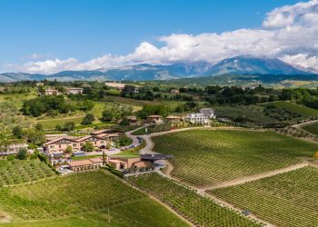Prima mossa del nuovo polo Argea: acquisita Cantina Zaccagnini
