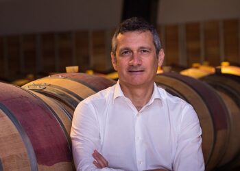 Vigneto Marche: 2022 in tenuta. Enoturismo “asset del futuro vitivinicolo”