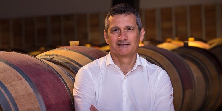 Vigneto Marche: 2022 in tenuta. Enoturismo “asset del futuro vitivinicolo”