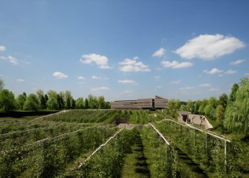 Masi celebra la 250esima vendemmia della famiglia Boscaini