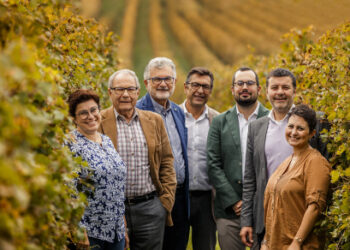 Masi Agricola, i top wines trainano i nove mesi (+23%)