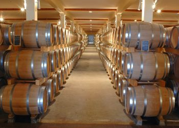 Il vino batte un altro record in asta: raggiunti 31 milioni €