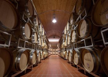 Cantine di Verona archivia l’anno a 65,7 milioni di euro