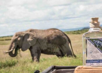Compagnia dei Caraibi compra Elephant Gin per 15,6 mln €