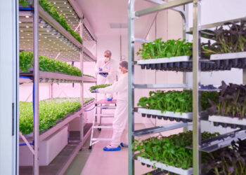 Planet Farms, Valsecchi e Bordoli sono i nuovi CEO e Presidente