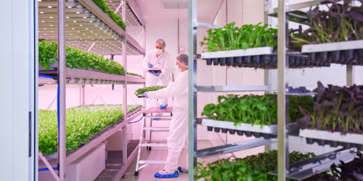 Planet Farms, Valsecchi e Bordoli sono i nuovi CEO e Presidente