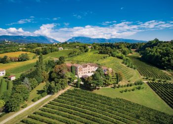 Serena Wines 1881 punta a superare i 100 mln € (+19%)