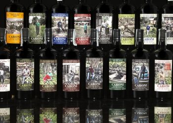 Il rum piace ai giovani. Diventa distillato da collezione