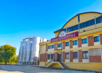 Vivo Cantine chiude l’anno in corsa. Ricavi a +41%