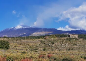 Etna Doc, è boom di Bianco Superiore (+67%) e Rosato (+46%)
