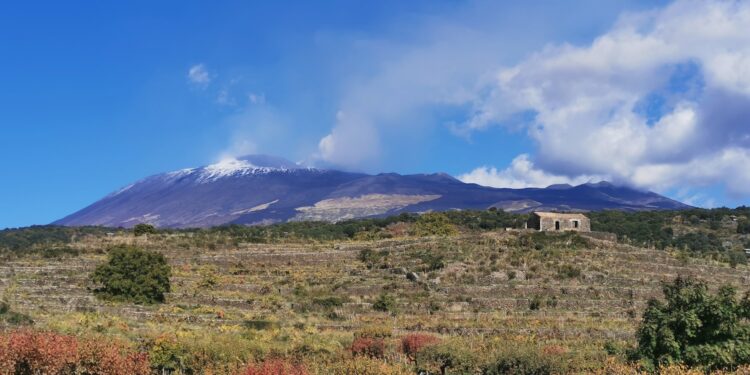 Etna Doc, è boom di Bianco Superiore (+67%) e Rosato (+46%)