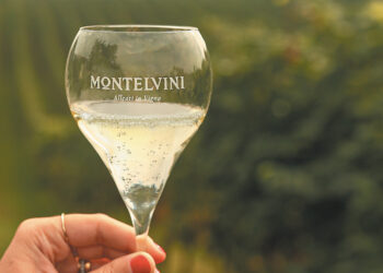Montelvini cresce a valore: ricavi oltre i 31 mln nel 2022