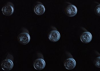 L’Irlanda metterà l’health warning in etichetta. Insorge l’Italia del vino