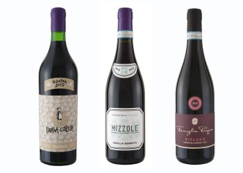 La Valpolicella green di Pasqua Vini
