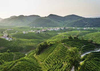 Da Prosecco a Valdobbiadene, viaggio di sola andata
