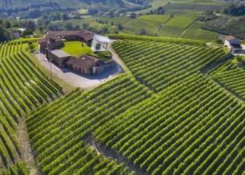 Il Barolo va a Bordeaux: Ceretto e Borgogno new entry su La Place