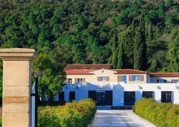 Moët Hennessy investe nel rosé: acquisito Château Minuty