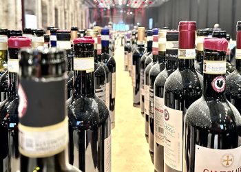 Gran Selezione Chianti Classico: più Sangiovese e Uga in etichetta