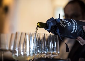Consorzio Maremma Toscana, bottiglie in lieve calo nel 2022