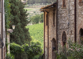 Il lato verde delle colline in Chianti Classico