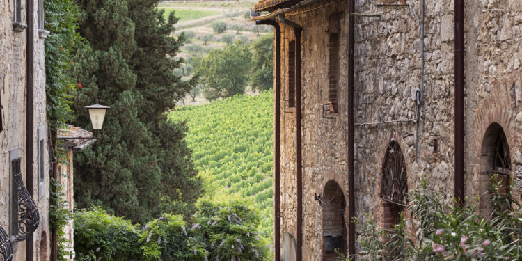 Il lato verde delle colline in Chianti Classico