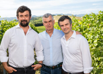 Pasqua Vini cresce con l’alto di gamma: fatturato a 65,4 mln € (+4%)