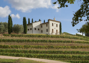 Angelini Wines & Estates sfiora i 30 milioni di fatturato nel 2022
