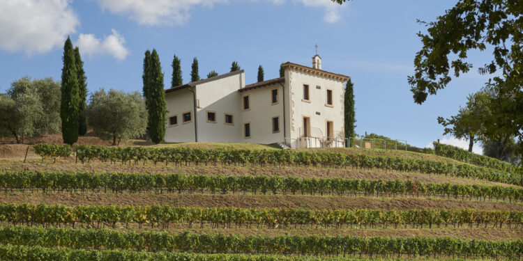 Angelini Wines & Estates sfiora i 30 milioni di fatturato nel 2022