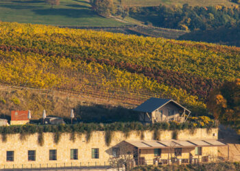 L’ospitalità sostiene La Collina dei Ciliegi. In arrivo wine club a Milano