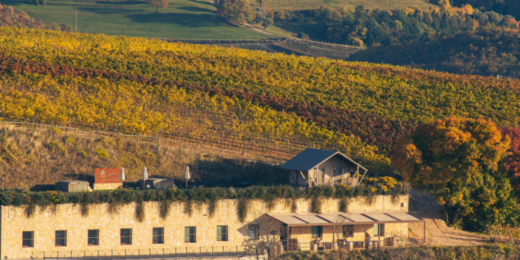 L’ospitalità sostiene La Collina dei Ciliegi. In arrivo wine club a Milano