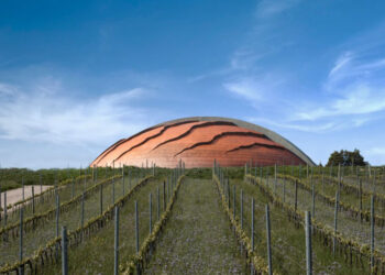Il Carapace Lunga Attesa 2016 di Tenuta Castelbuono (Lunelli)
