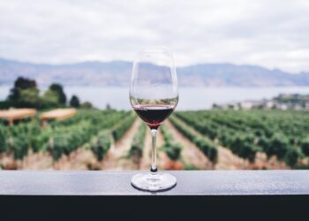 Brunello di Montalcino, vendute 9,4 milioni di bottiglie nel 2022 (+7%)