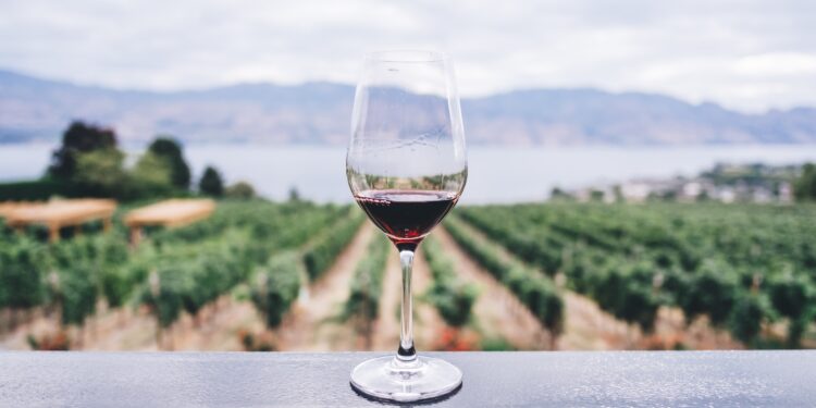 Brunello di Montalcino, vendute 9,4 milioni di bottiglie nel 2022 (+7%)