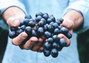 Il vino ‘naturale’, un mosaico incompleto