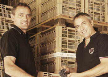 Tommasi Family Estates entra nella cantina Nicolis al 50%