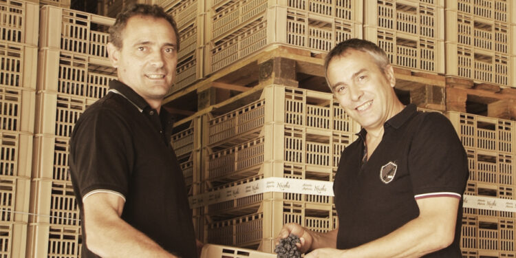 Tommasi Family Estates entra nella cantina Nicolis al 50%