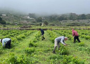 Pellegrino investe a Pantelleria: acquisita tenuta da 8 ettari