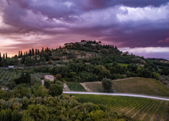 Il Vino Nobile di Montepulciano punta sulla promozione del territorio toscano