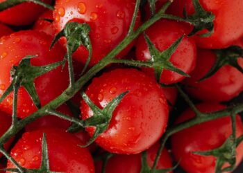 Continua la crescita del bio in Italia (+12%). Export a 3,4 mld