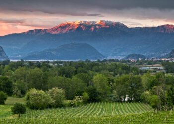 Nel weekend torna il Festival Franciacorta in Cantina
