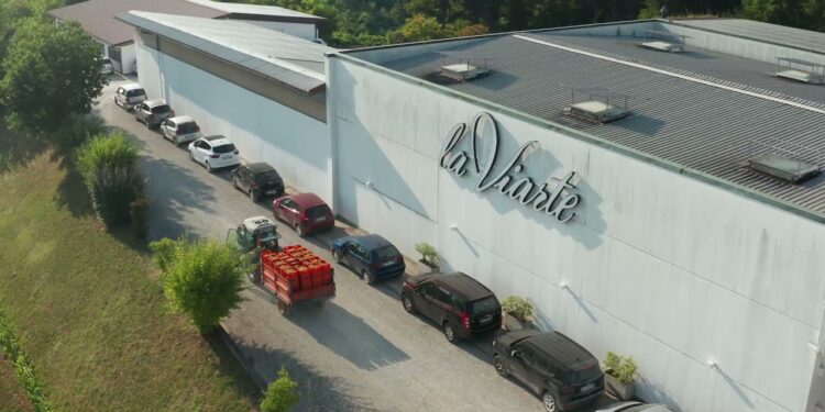 Giorgio Polegato riparte dal Friuli: acquisita la cantina La Viarte
