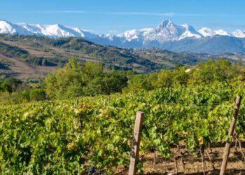 Finisce l’epoca del dualismo per il Montepulciano in Abruzzo