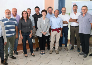 Terre Cevico è cooperativa di primo grado con Le Romagnole e Due Tigli