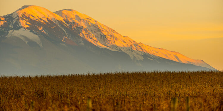 Abruzzo del vino, parola ai top 5 produttori per fatturato