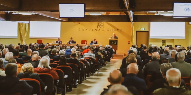 Cadis 1898 chiude l’anno con fatturato e utili in calo