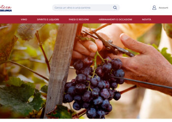 Enoteca Esselunga, dalla cantina alla tavola (in tutta Italia) con un click