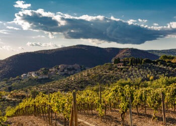 Un Brunello di Montalcino vince la Top 100 Cellar Selections