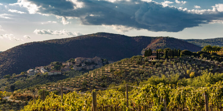 Un Brunello di Montalcino vince la Top 100 Cellar Selections