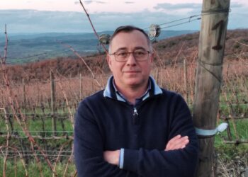 Basile (Consorzio Montecucco): “Vogliamo incrementare la produzione”